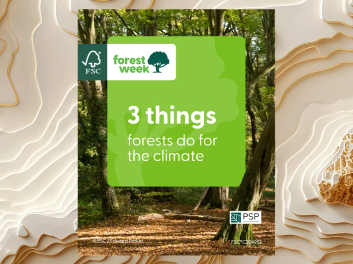 fsc sustainability responsible sourcing forest