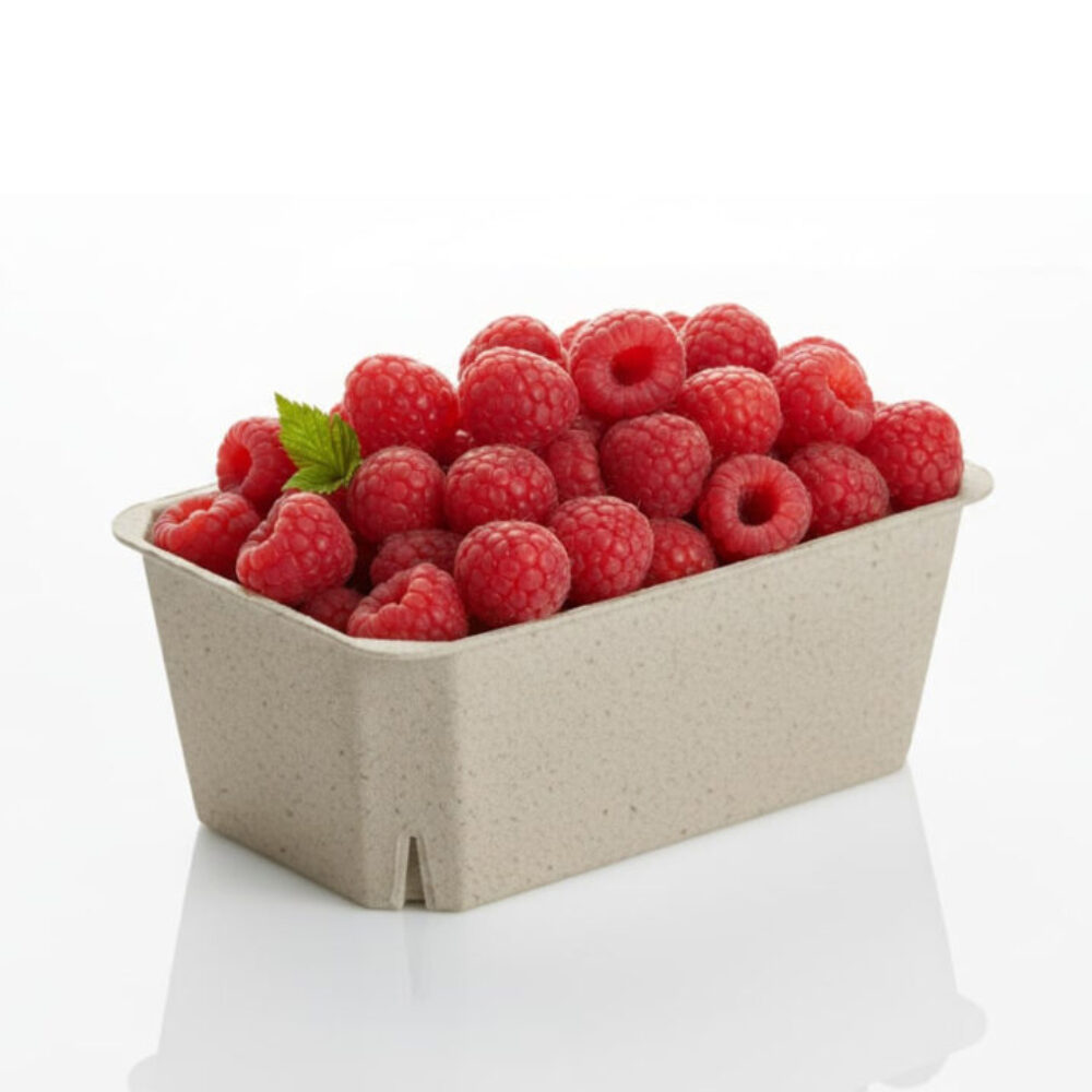 berry tray
