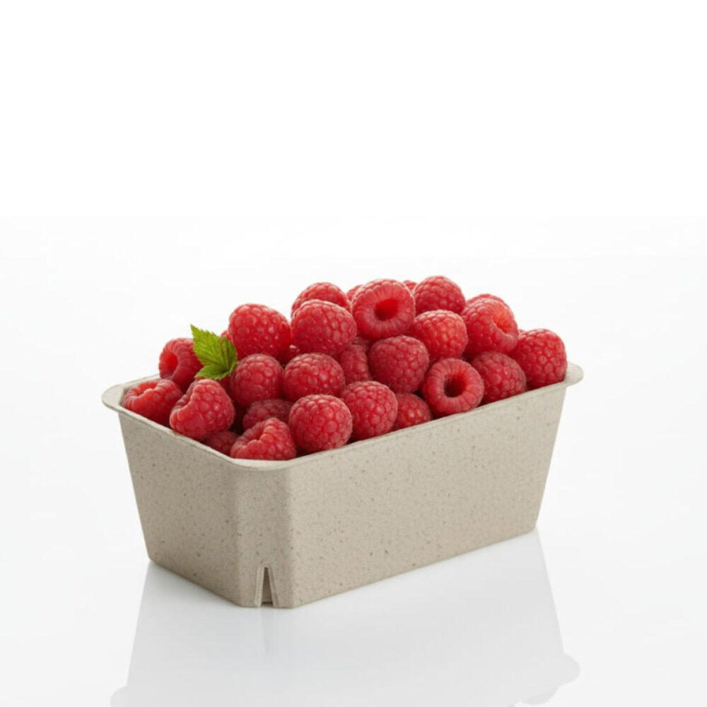 berry-tray